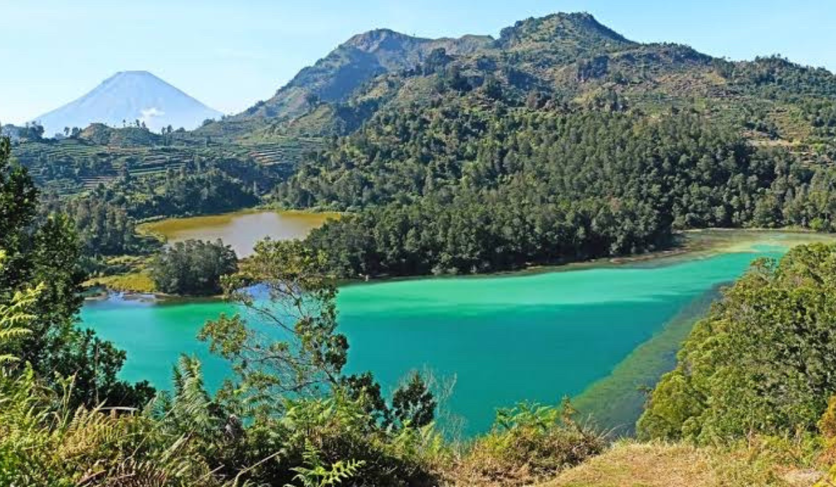 Dieng Tour
